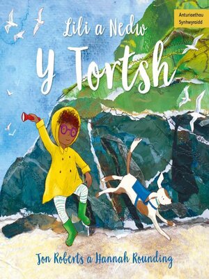 cover image of Lili a Nedw